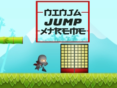 Jwèt Sote Ninja Xtreme sou entènèt