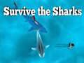 Jwèt Souve pase a requin yo sou entènèt