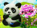Jwèt Panda Kontan sou entènèt