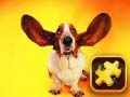 Jwèt Puzzle Chien Drol sou entènèt