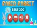 Jwèt Lapin Dela fache sou entènèt