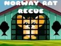 Jwèt Reskous Rat Norvèj sou entènèt