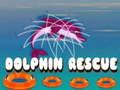 Jwèt Reskons delfin sou entènèt