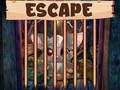 Jwèt Bèl Ti Bat Escape sou entènèt