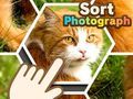 Jwèt Triage Foto sou entènèt