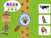 Jwèt Mond lan tras pye Alice sou entènèt