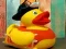 Jwèt Paz Pato Jòn sou entènèt