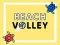 Jwèt Voleyball plaj sou entènèt