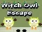 Jwèt Sòti hibou sorcerè sou entènèt