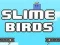 Jwèt Zanmi Slime sou entènèt