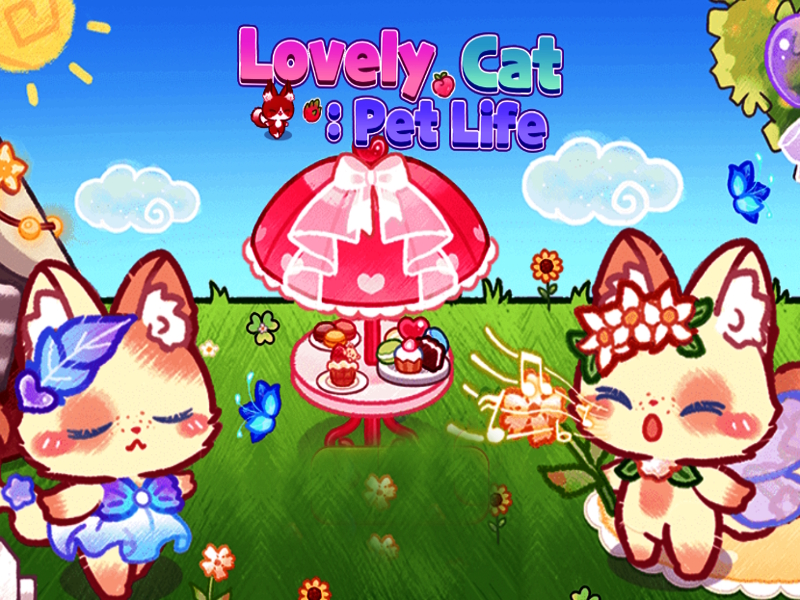 Jwèt Bèl chat: lavi bèt kay sou entènèt