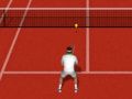 Jwèt Reel Tenis sou entènèt