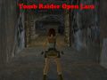 Jwèt Tomb Raider: Lara Ouvri sou entènèt
