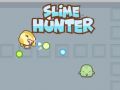 Jwèt Chasè Slime sou entènèt
