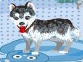 Jwèt Chien mwen an banyo sou entènèt