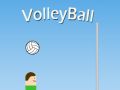 Jwèt Voleybal sou entènèt