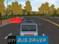 Jwèt Chofè otobis vil la sou entènèt