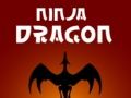 Jwèt Ninja Dragon sou entènèt