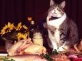 Jwèt Puzzel Chat Amizan sou entènèt