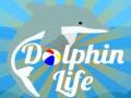 Jwèt Lavi Dolphin sou entènèt Jwèt Lavi Dolphin sou entènèt