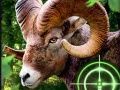 Jwèt Chasè Kabrit Fou 2020 sou entènèt