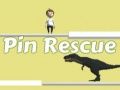 Jwèt Reskote Pin sou entènèt