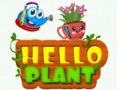 Jwèt Bonjou Plant sou entènèt Jwèt Bonjou Plant sou entènèt