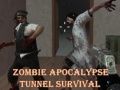 Jwèt Siviv nan Tonèl Apokalips Zombi sou entènèt