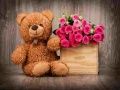 Jwèt Paz pèzib ak teddybears ki bèl sou entènèt