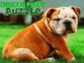 Jwèt Bulldog Puppy Puzzle sou entènèt