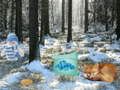 Jwèt Avantou nan Forè Merveye Zile Lwinter. sou entènèt