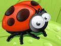 Jwèt Glise Ladybug sou entènèt