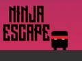 Jwèt Echap Ninja sou entènèt
