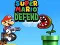 Jwèt Super Mario Defans sou entènèt