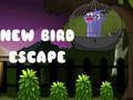 Jwèt Nouvo Ekspozisyon Oiseau sou entènèt