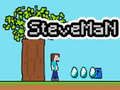 Jwèt Steveman sou entènèt