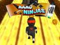 Jwèt Ninjas NANO sou entènèt