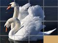 Jwèt Puzèl Glise Animals sou entènèt Jwèt Puzèl Glise Animals sou entènèt