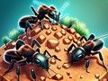 Jwèt Koli fourmis sou entènèt