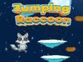 Jwèt Raccoon Sote sou entènèt