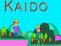 Jwèt Kaido sou entènèt