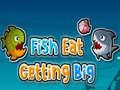Jwèt Poisson manje e ap grandi sou entènèt