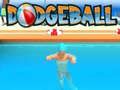 Jwèt Dodgeball sou entènèt