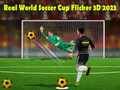 Jwèt Vra Domen Mondyal Foutbòl Flicker 3D 2023 sou entènèt