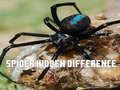 Jwèt Pandan: Jwenn diferans yo sou entènèt Jwèt Pandan: Jwenn diferans yo sou entènèt
