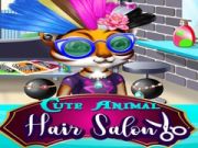 Jwèt Salon Cheve pou Bèt Bèl sou entènèt Jwèt Salon Cheve pou Bèt Bèl sou entènèt
