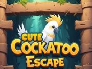 Jwèt Chat embouteye kakadu sou entènèt