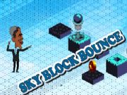 Jwèt Sote Blok Syèl sou entènèt