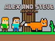 Jwèt Aventi Alex ak Steve: Sove sou entènèt