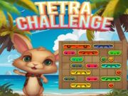 Jwèt Defi Tetra sou entènèt